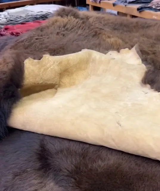 Buffalo (Bison) Robes/Rugs