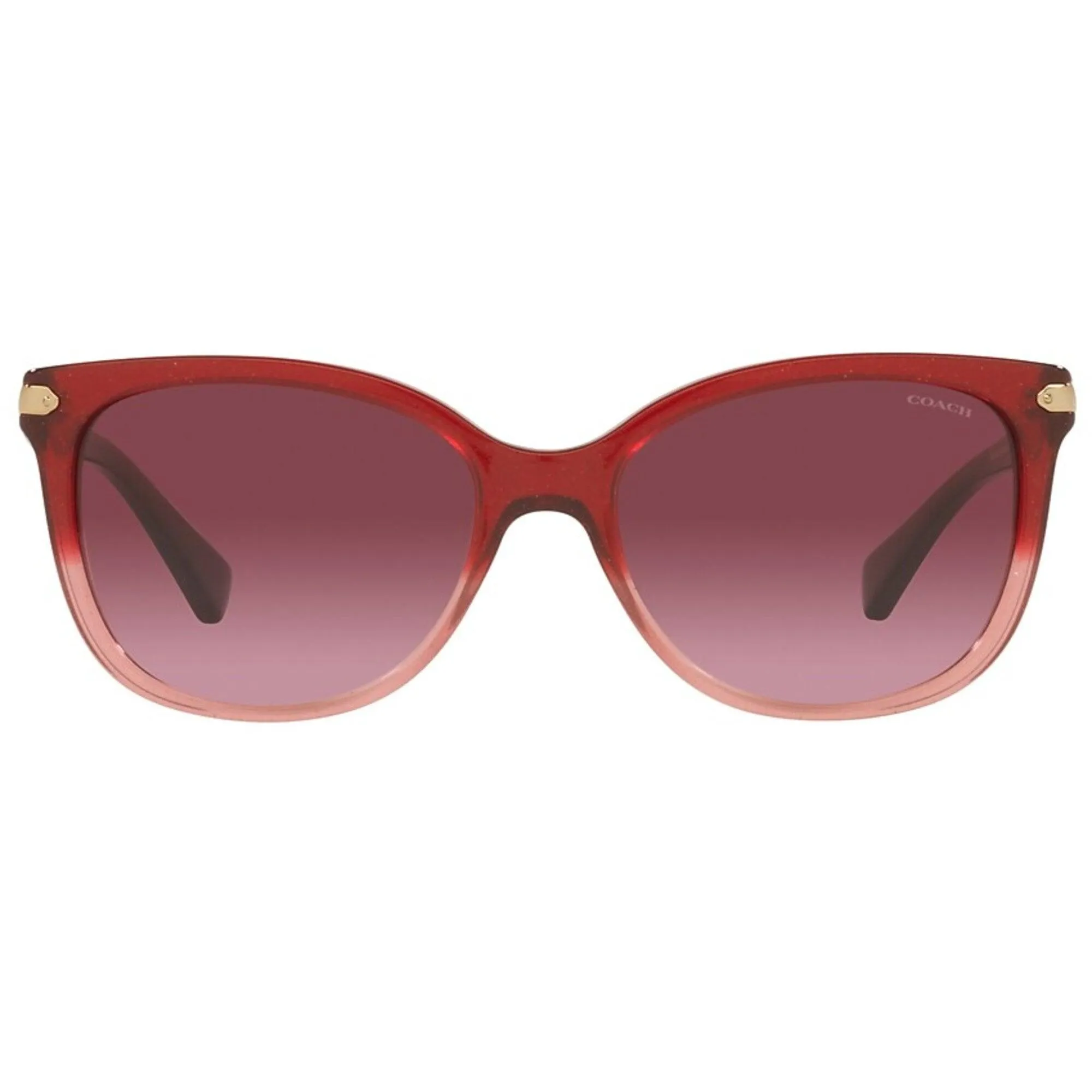 Coach Women's Sunglasses - Shimmer Burgundy/Pink Gradient Frame | 0HC8132 55518H57