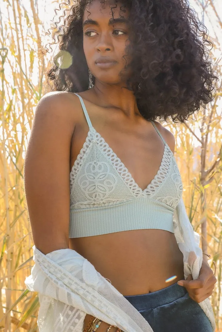 Waistband Loop Lace Seamless Brami by LETO✨ in 7 Color Choices